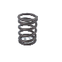 Engine Valve Spring